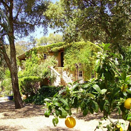 Bed and Breakfast Le Bastidon Saint-Michel Sainte-Maxime Esterno foto